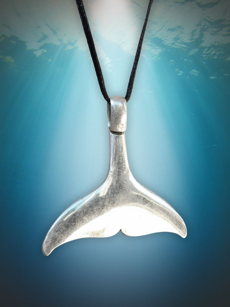 Whale Tail