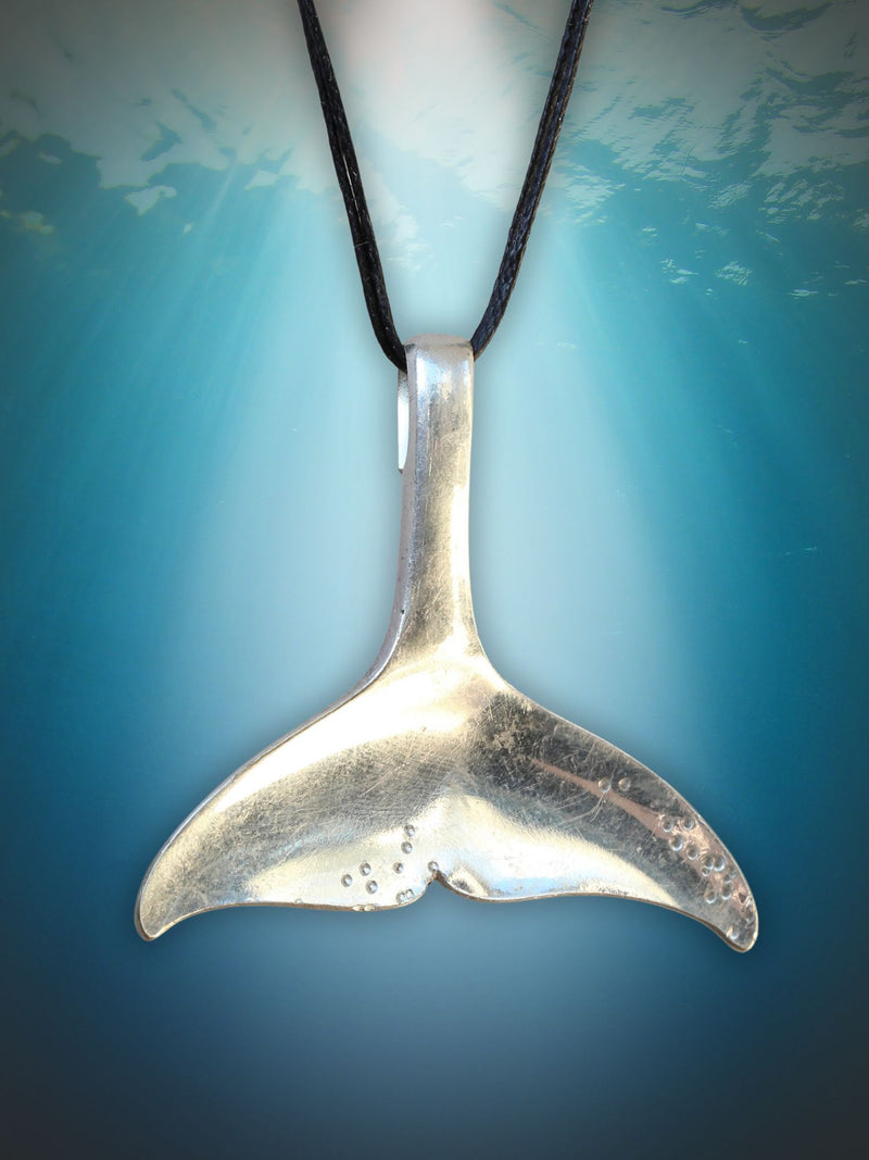 Whale Tail