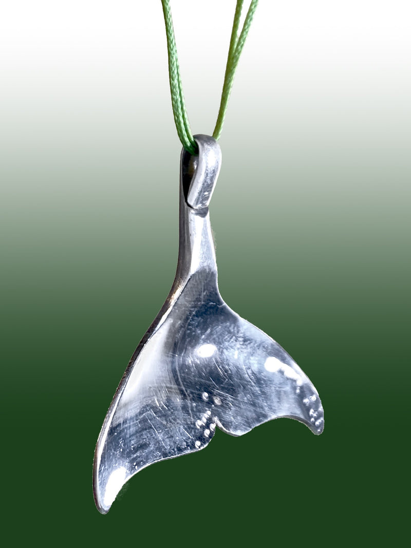 Whale Tail