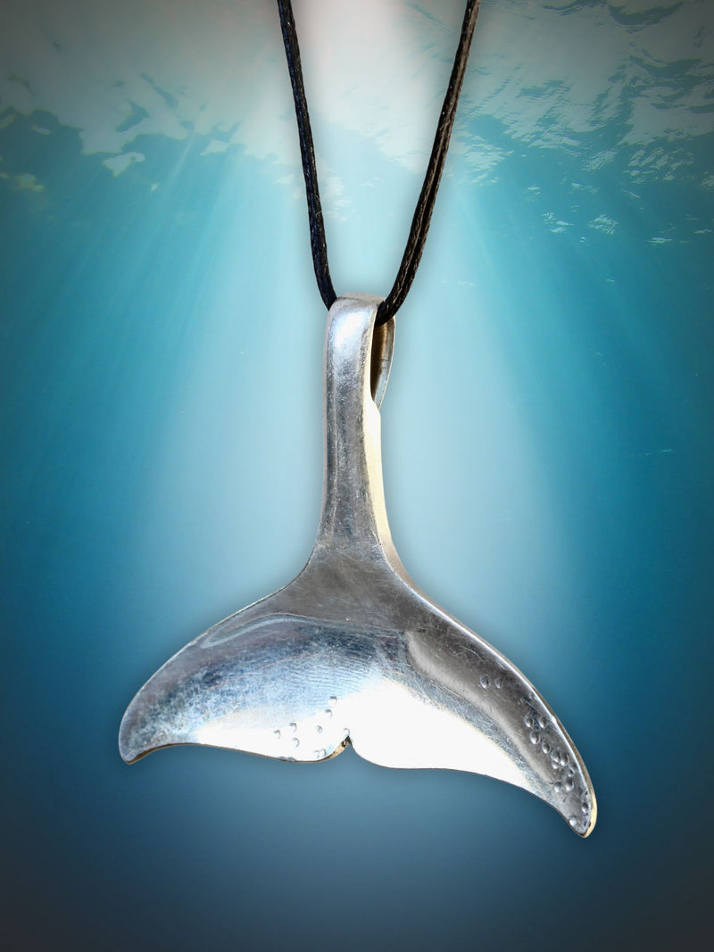 Whale Tail